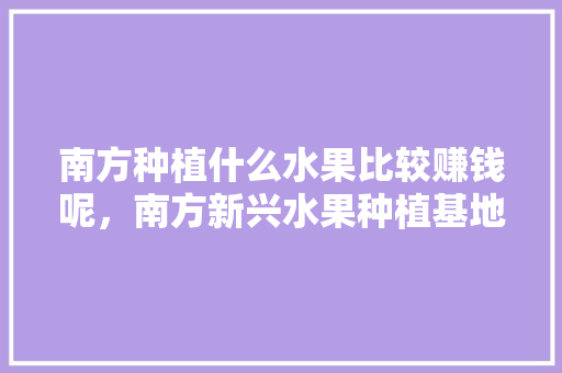 南方种植什么水果比较赚钱呢，南方新兴水果种植基地。 土壤施肥