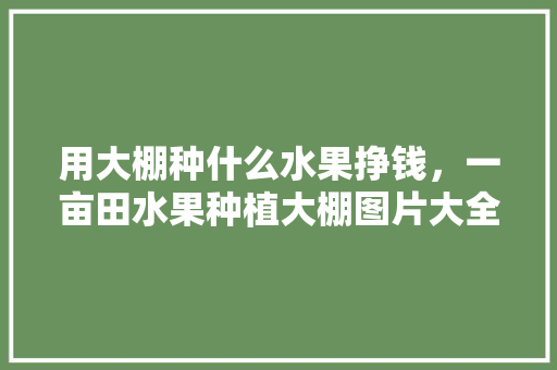 用大棚种什么水果挣钱，一亩田水果种植大棚图片大全。 家禽养殖