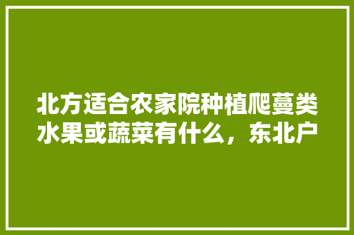 北方适合农家院种植爬蔓类水果或蔬菜有什么，东北户外水果种植方法。 土壤施肥