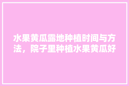 水果黄瓜露地种植时间与方法，院子里种植水果黄瓜好吗。 家禽养殖