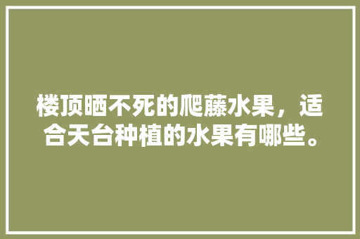 楼顶晒不死的爬藤水果，适合天台种植的水果有哪些。 土壤施肥