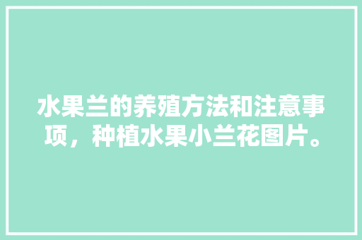 水果兰的养殖方法和注意事项，种植水果小兰花图片。 畜牧养殖