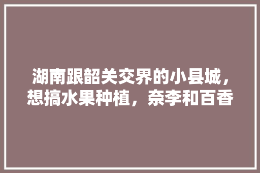 湖南跟韶关交界的小县城，想搞水果种植，奈李和百香果哪种水果易种植价值高些，韶关种植热带水果的地方。 家禽养殖