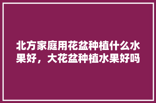 北方家庭用花盆种植什么水果好，大花盆种植水果好吗。 水果种植