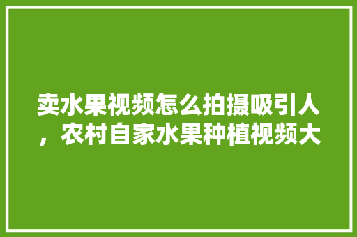 卖水果视频怎么拍摄吸引人，农村自家水果种植视频大全。 畜牧养殖