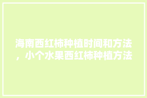 海南西红柿种植时间和方法，小个水果西红柿种植方法图解。 水果种植