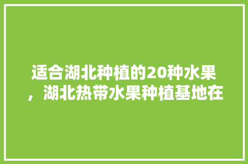 适合湖北种植的20种水果，湖北热带水果种植基地在哪里。 土壤施肥