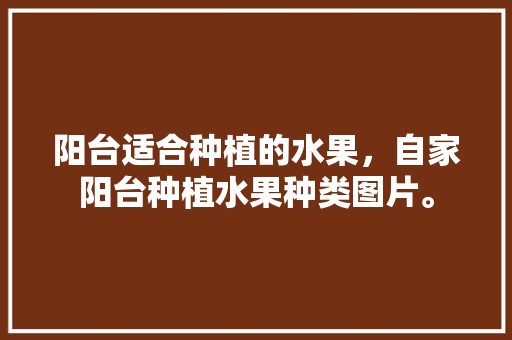 阳台适合种植的水果，自家阳台种植水果种类图片。 水果种植