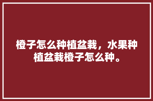 橙子怎么种植盆栽，水果种植盆栽橙子怎么种。 家禽养殖