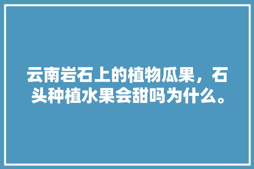 云南岩石上的植物瓜果，石头种植水果会甜吗为什么。 家禽养殖