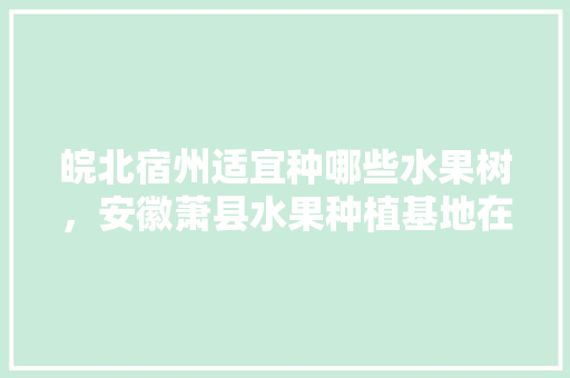 皖北宿州适宜种哪些水果树，安徽萧县水果种植基地在哪里。 家禽养殖