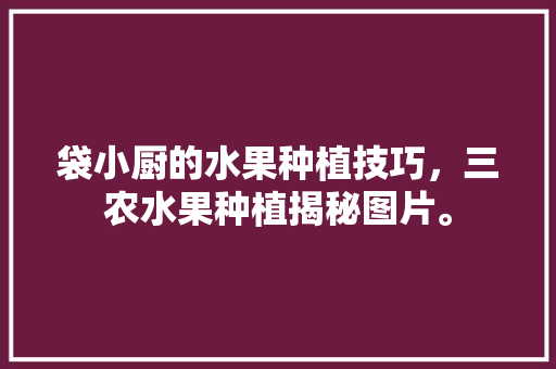 袋小厨的水果种植技巧，三农水果种植揭秘图片。 土壤施肥