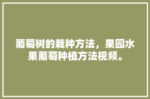 葡萄树的栽种方法，果园水果葡萄种植方法视频。 畜牧养殖