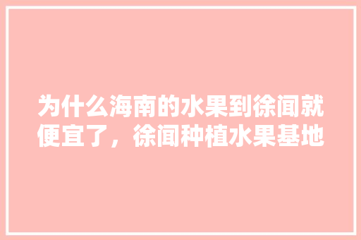 为什么海南的水果到徐闻就便宜了，徐闻种植水果基地在哪里。 土壤施肥