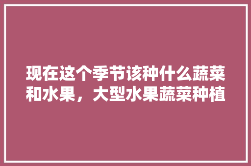 现在这个季节该种什么蔬菜和水果，大型水果蔬菜种植基地。 畜牧养殖