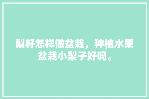 梨籽怎样做盆栽，种植水果盆栽小梨子好吗。 水果种植