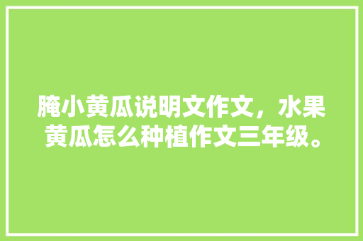 腌小黄瓜说明文作文，水果黄瓜怎么种植作文三年级。 家禽养殖