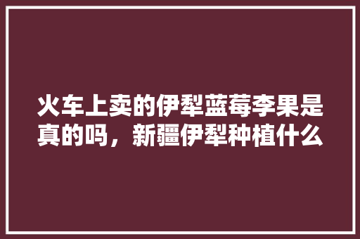 火车上卖的伊犁蓝莓李果是真的吗，新疆伊犁种植什么水果多一些。 土壤施肥