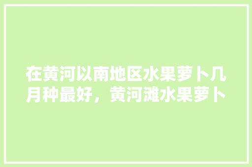 在黄河以南地区水果萝卜几月种最好，黄河滩水果萝卜种植时间。 土壤施肥