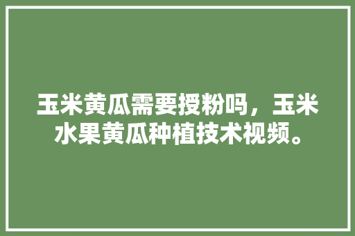 玉米黄瓜需要授粉吗，玉米水果黄瓜种植技术视频。 畜牧养殖