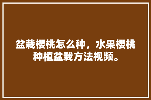 盆栽樱桃怎么种，水果樱桃种植盆栽方法视频。 蔬菜种植