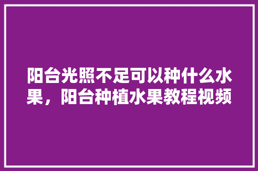 阳台光照不足可以种什么水果，阳台种植水果教程视频大全。 家禽养殖