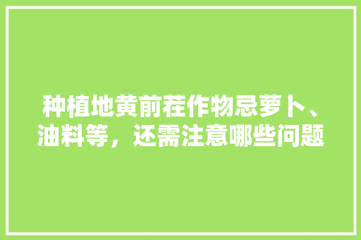 种植地黄前茬作物忌萝卜、油料等，还需注意哪些问题，荒地种植水果萝卜技术要求。 土壤施肥