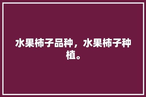 水果柿子品种，水果柿子种植。 水果种植