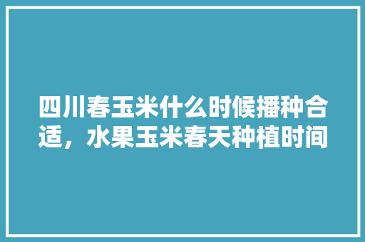 四川春玉米什么时候播种合适，水果玉米春天种植时间表。 土壤施肥