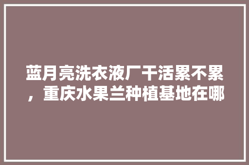 蓝月亮洗衣液厂干活累不累，重庆水果兰种植基地在哪里。 家禽养殖