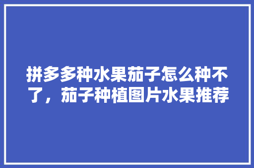 拼多多种水果茄子怎么种不了，茄子种植图片水果推荐大全。 家禽养殖