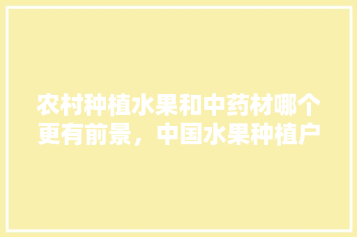 农村种植水果和中药材哪个更有前景，中国水果种植户有多少。 水果种植