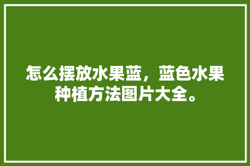 怎么摆放水果蓝，蓝色水果种植方法图片大全。 畜牧养殖