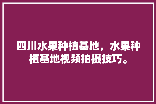 四川水果种植基地，水果种植基地视频拍摄技巧。 畜牧养殖