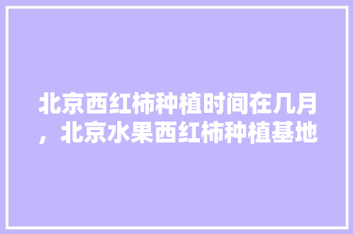 北京西红柿种植时间在几月，北京水果西红柿种植基地。 畜牧养殖