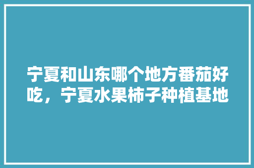 宁夏和山东哪个地方番茄好吃，宁夏水果柿子种植基地地址。 畜牧养殖