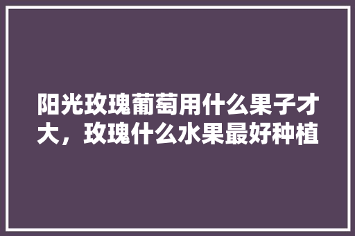 阳光玫瑰葡萄用什么果子才大，玫瑰什么水果最好种植呢。 土壤施肥