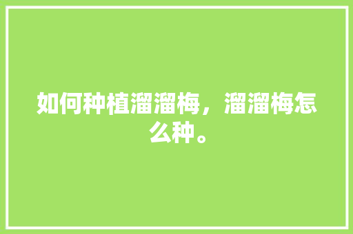 如何种植溜溜梅，溜溜梅怎么种。 水果种植