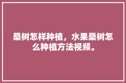 桑树怎样种植，水果桑树怎么种植方法视频。 家禽养殖