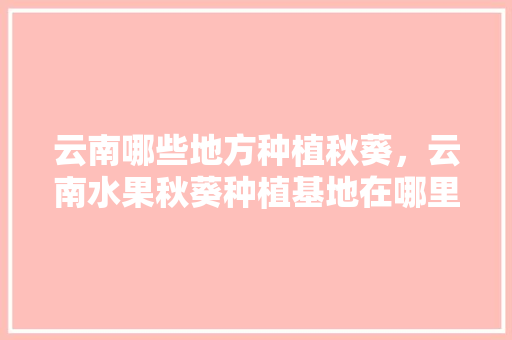 云南哪些地方种植秋葵，云南水果秋葵种植基地在哪里。 土壤施肥