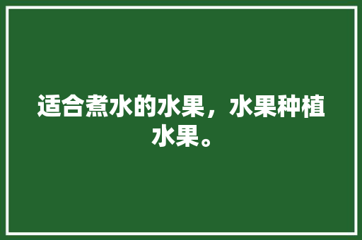 适合煮水的水果，水果种植水果。 水果种植