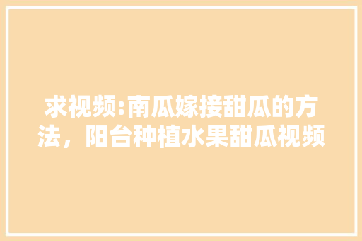 求视频:南瓜嫁接甜瓜的方法，阳台种植水果甜瓜视频大全。 蔬菜种植