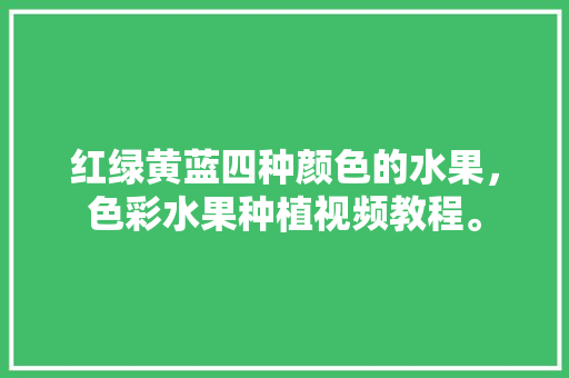 红绿黄蓝四种颜色的水果，色彩水果种植视频教程。 土壤施肥