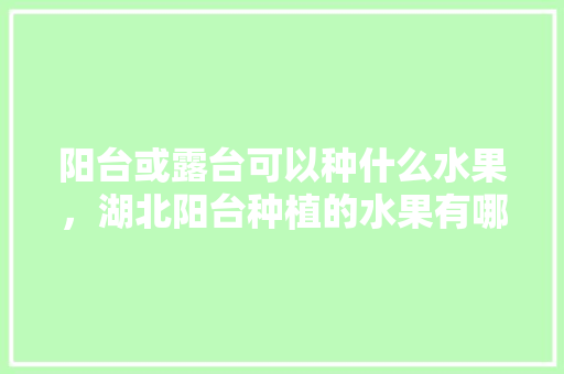 阳台或露台可以种什么水果，湖北阳台种植的水果有哪些。 水果种植