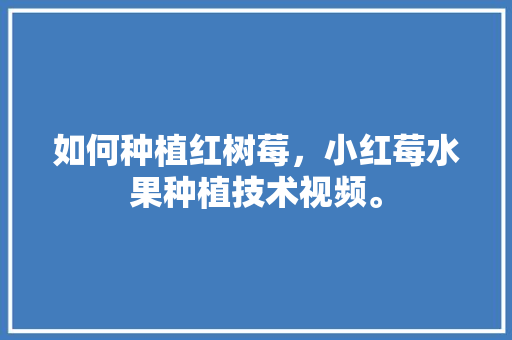 如何种植红树莓，小红莓水果种植技术视频。 如何种植红树莓，小红莓水果种植技术视频。 蔬菜种植