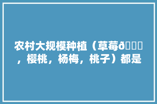 农村大规模种植（草莓🍓，樱桃，杨梅，桃子）都是应季水果，怎么做到深加工快速消费，杨梅如何种植水果苗。 畜牧养殖