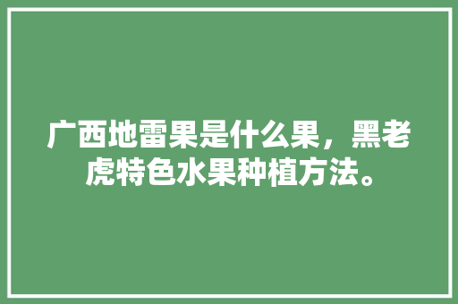 广西地雷果是什么果，黑老虎特色水果种植方法。 畜牧养殖