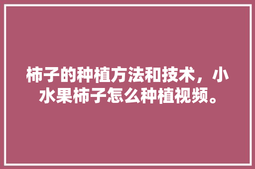 柿子的种植方法和技术，小水果柿子怎么种植视频。 家禽养殖