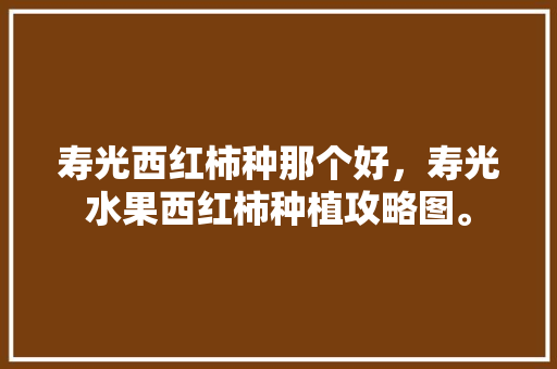 寿光西红柿种那个好，寿光水果西红柿种植攻略图。 畜牧养殖