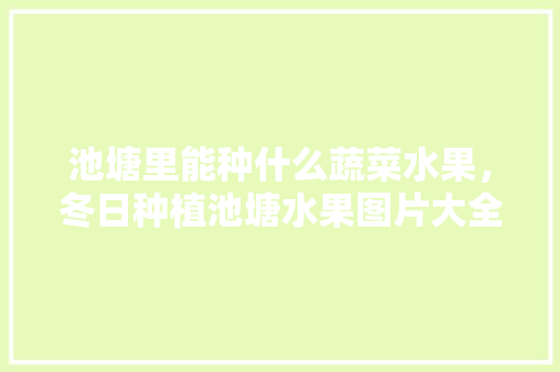 池塘里能种什么蔬菜水果，冬日种植池塘水果图片大全。 家禽养殖